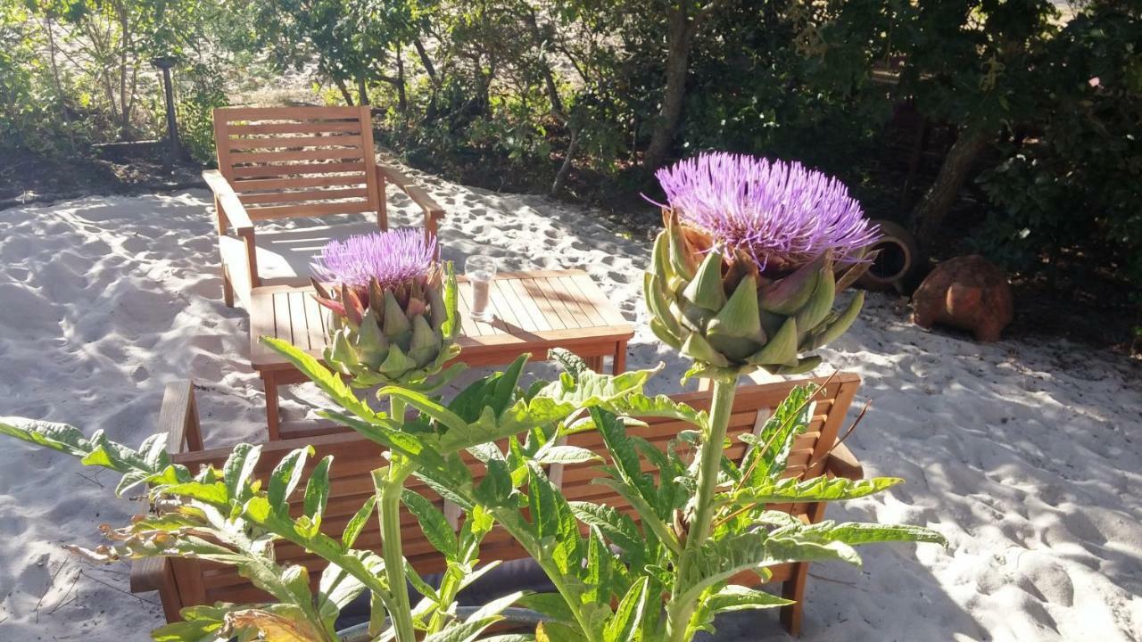 לינה וארוחת בוקר Lège-Cap-Ferret Le Relais De La Praya מראה חיצוני תמונה